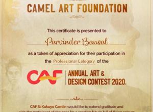Camel Art Foundation